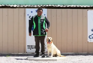 Cali K9 Adiestramiento Canino