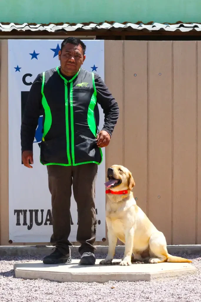 Adiestramiento Canino Rosarito y Tijuana Baja California