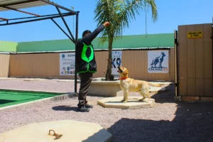 calik9-rosarito-instalaciones-02